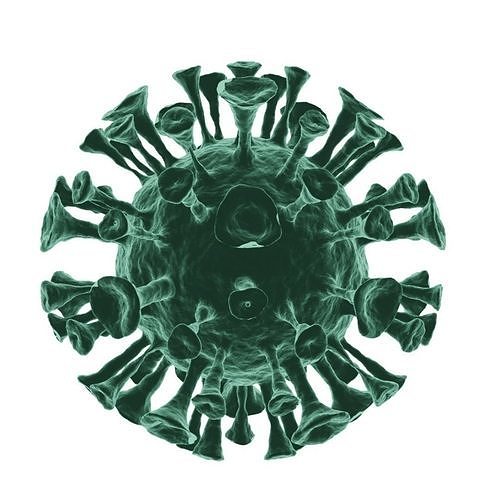 Corona Virus 3d Model 3D model
