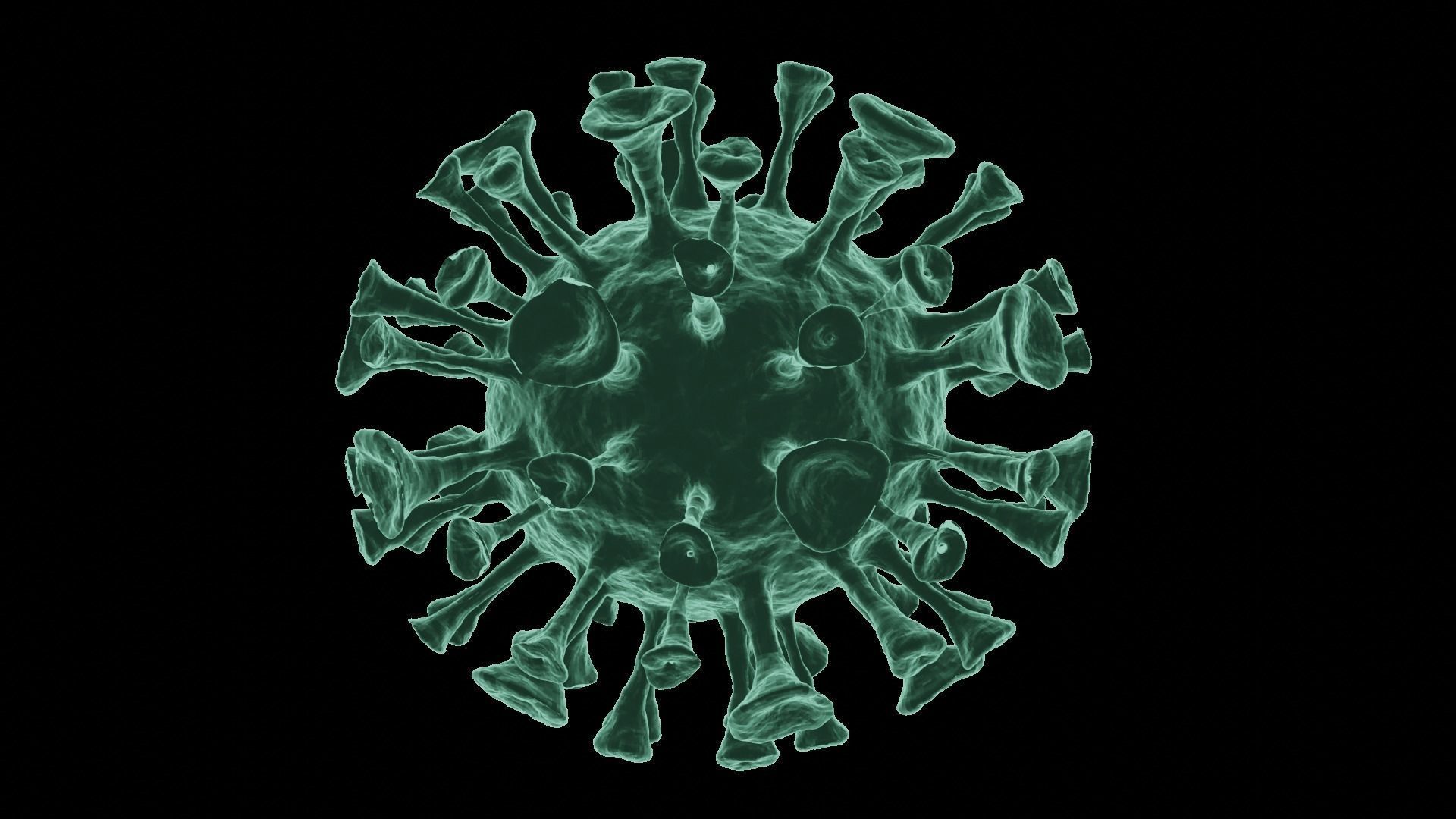 Corona Virus 3d Model 3D model_31