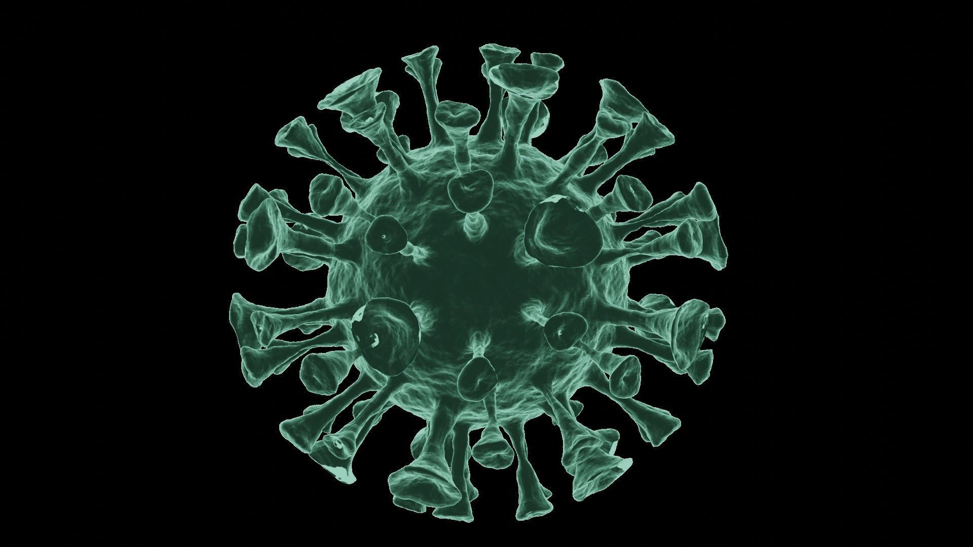 Corona Virus 3d Model 3D model_30