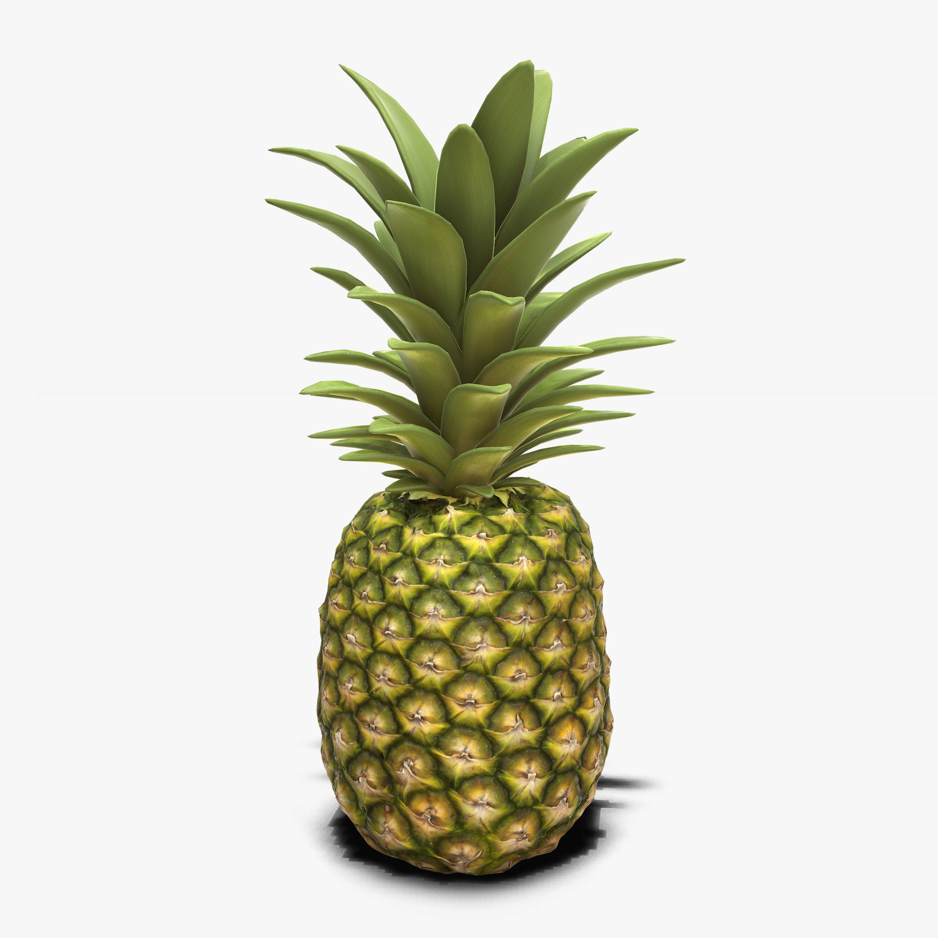 Pineapple Real time Low-poly 3D model_1