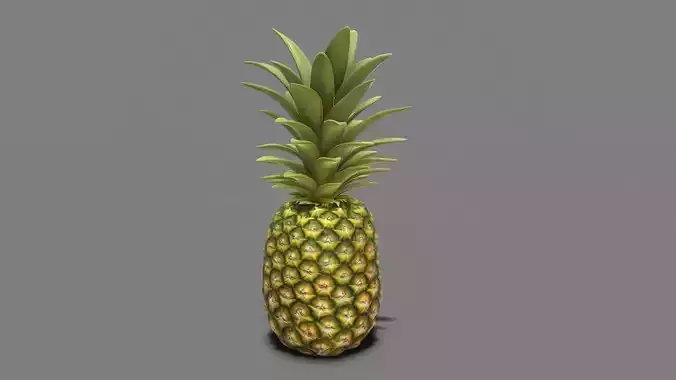 Pineapple Real time Low-poly 3D model