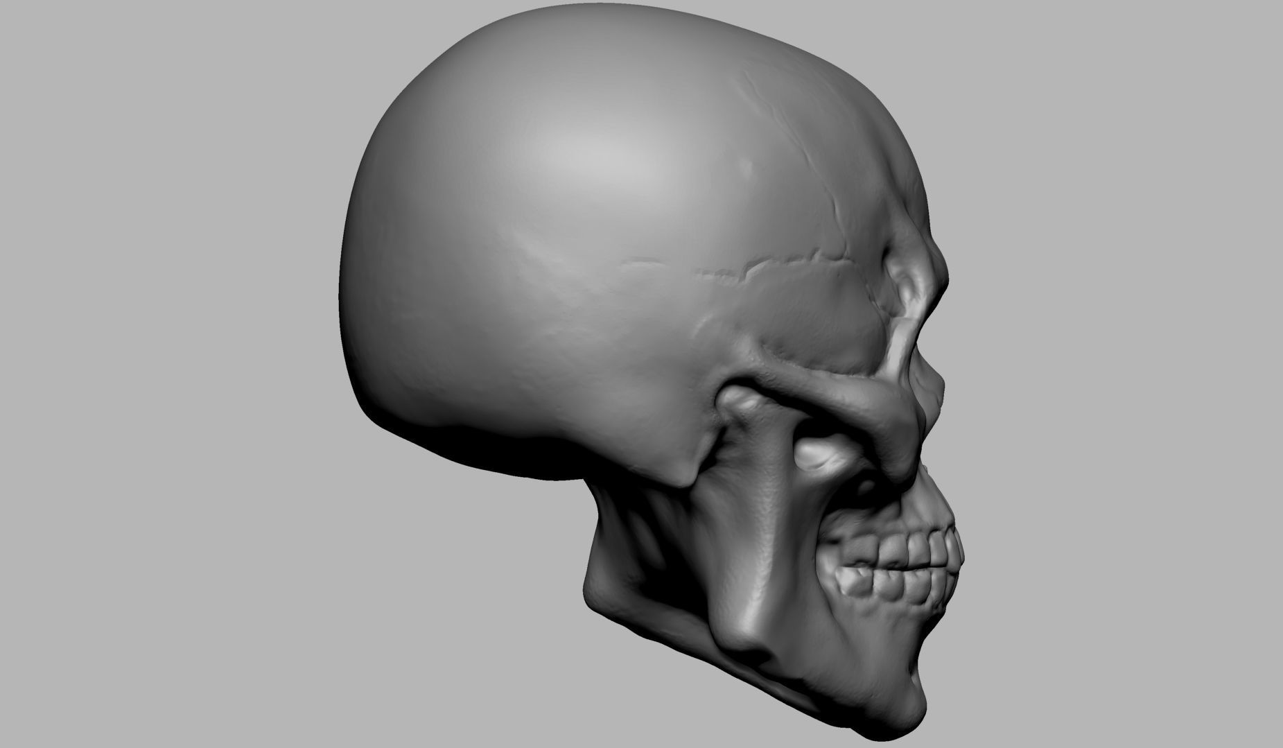Skull human 3D print model_3
