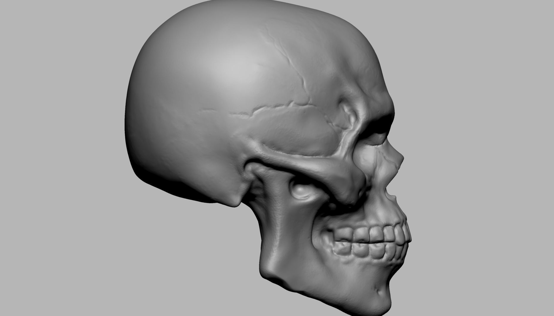 Skull human 3D print model_2
