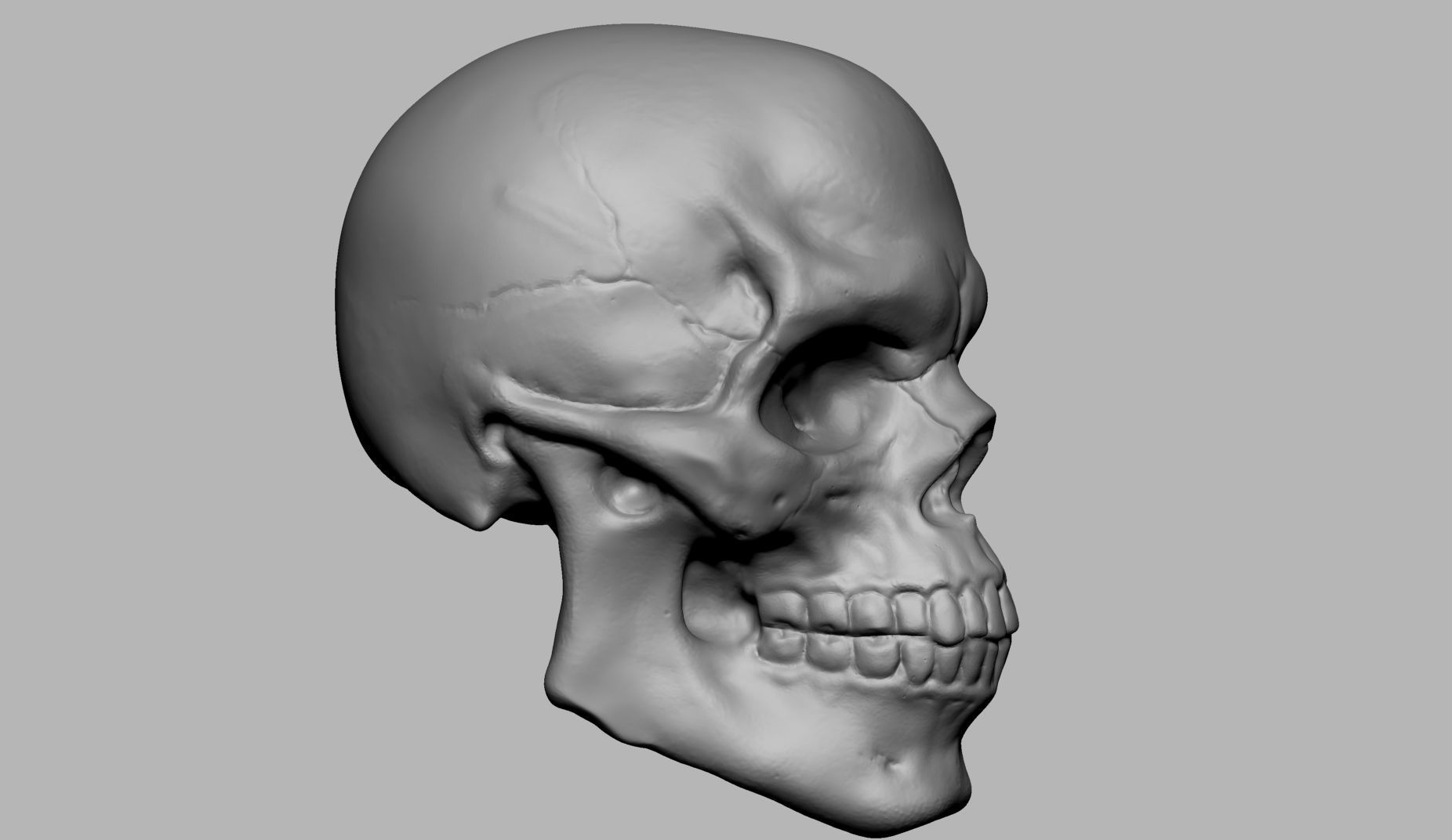 Skull human 3D print model_1