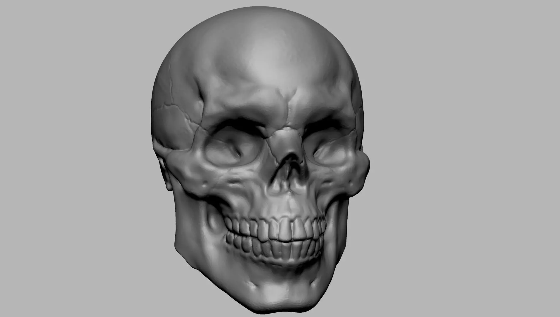 Skull human 3D print model_0