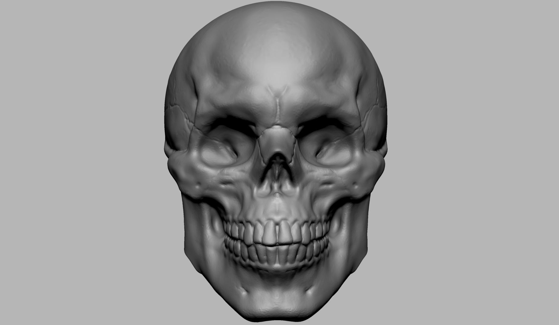 Skull human 3D print model_5