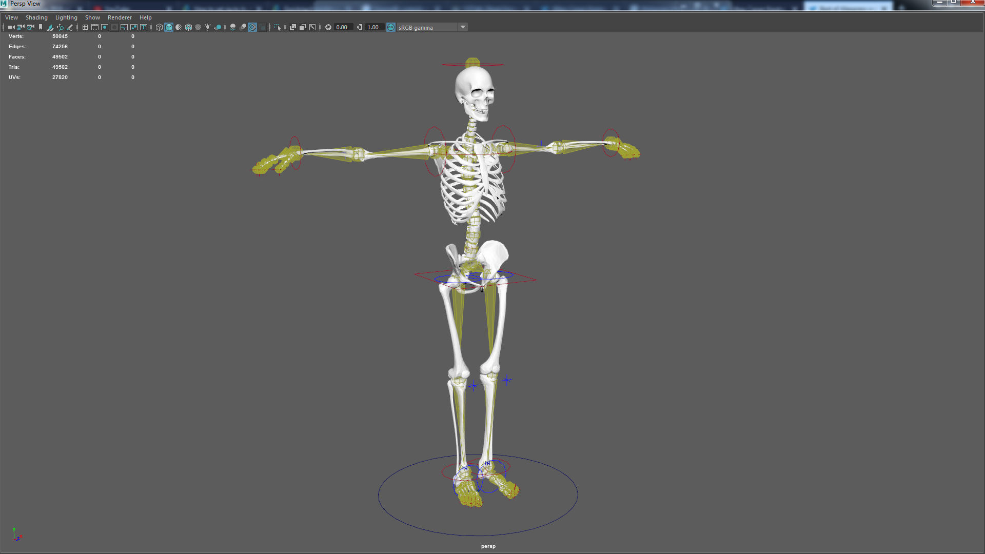 Skeleton Rig Low-poly 3D model_16