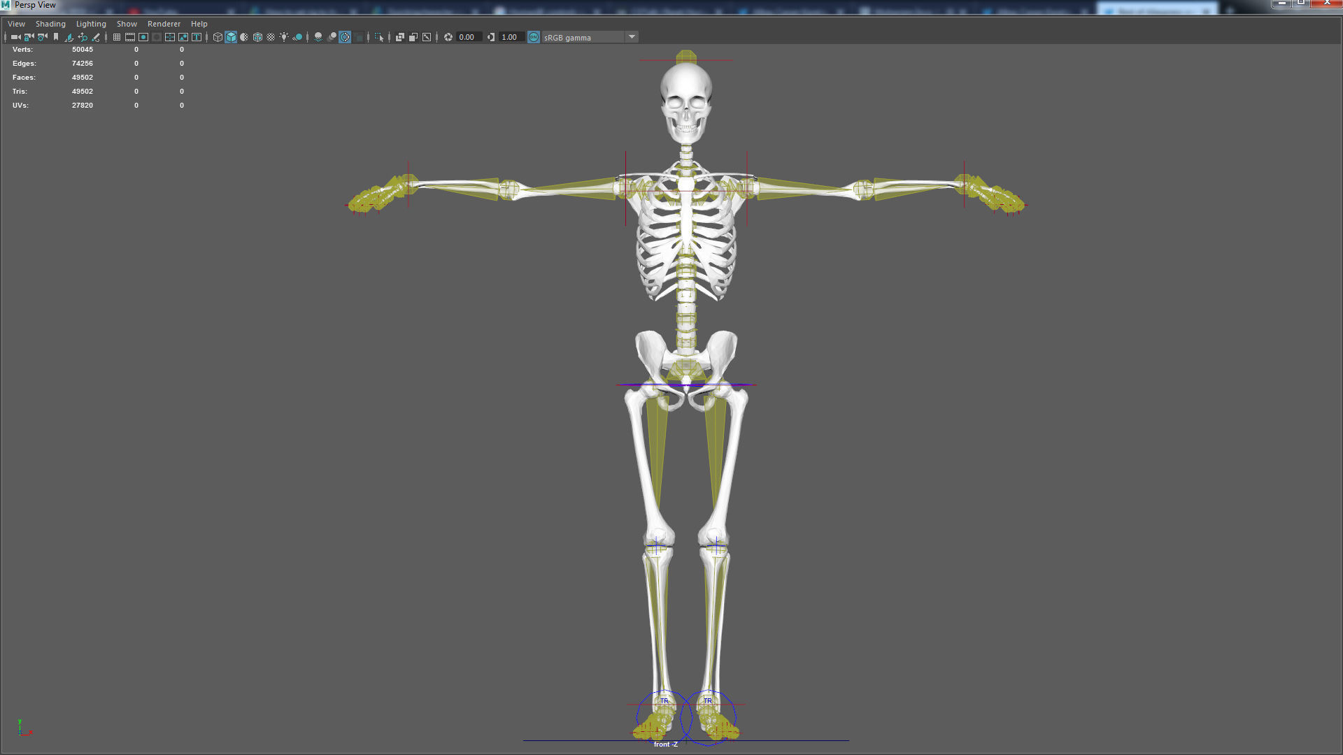 Skeleton Rig Low-poly 3D model_17