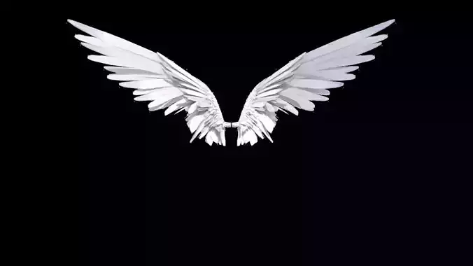 Angel Wings Rigged 3D model