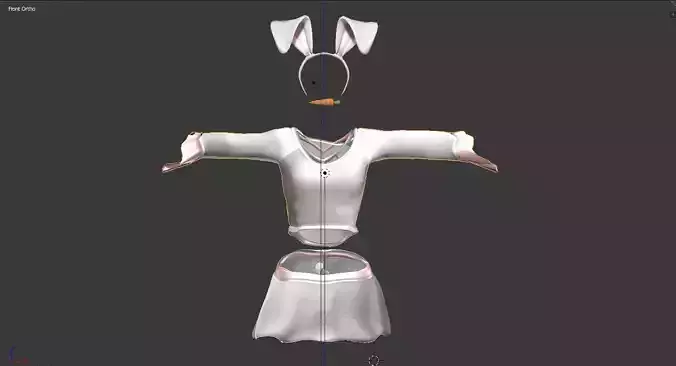BunBuns Clothing and lingerie Set 3D model