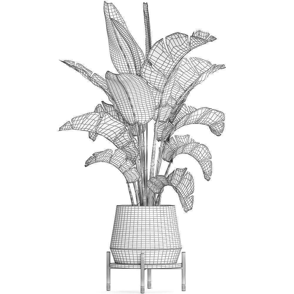 Exotic plants banana tree 446 3D model_9