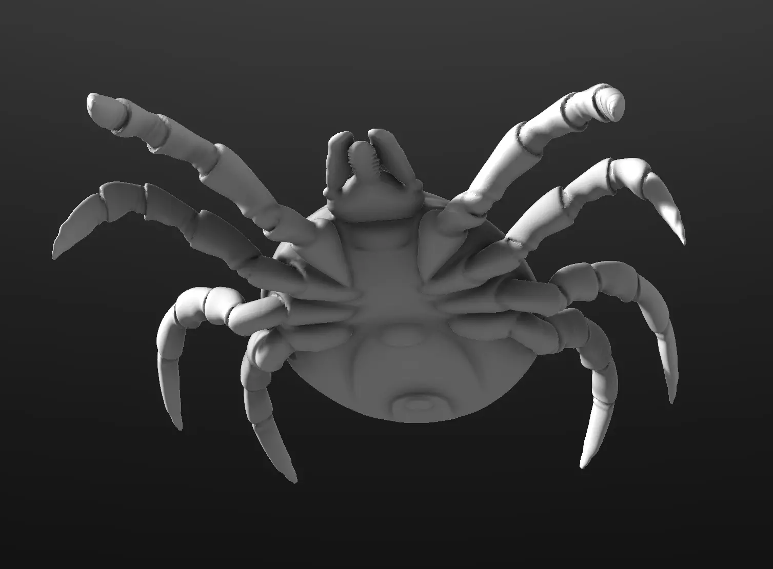 Adult empty Tick 3D print model_0
