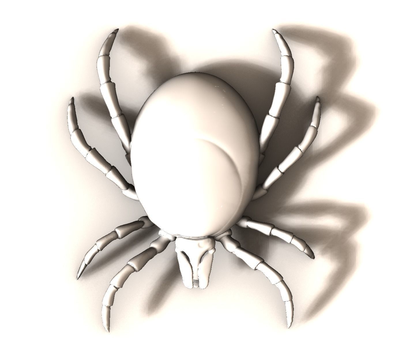 Adult empty Tick 3D print model_3