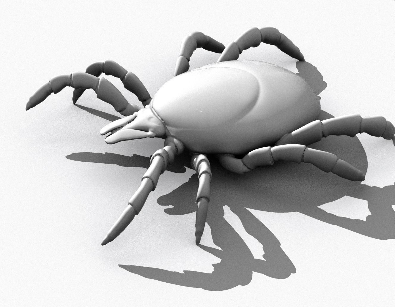Adult empty Tick 3D print model_5