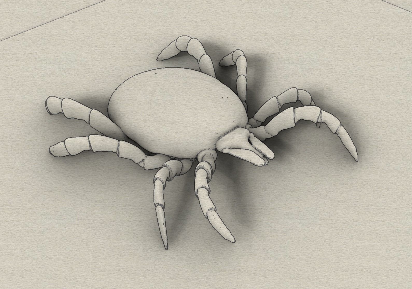 Adult empty Tick 3D print model_1