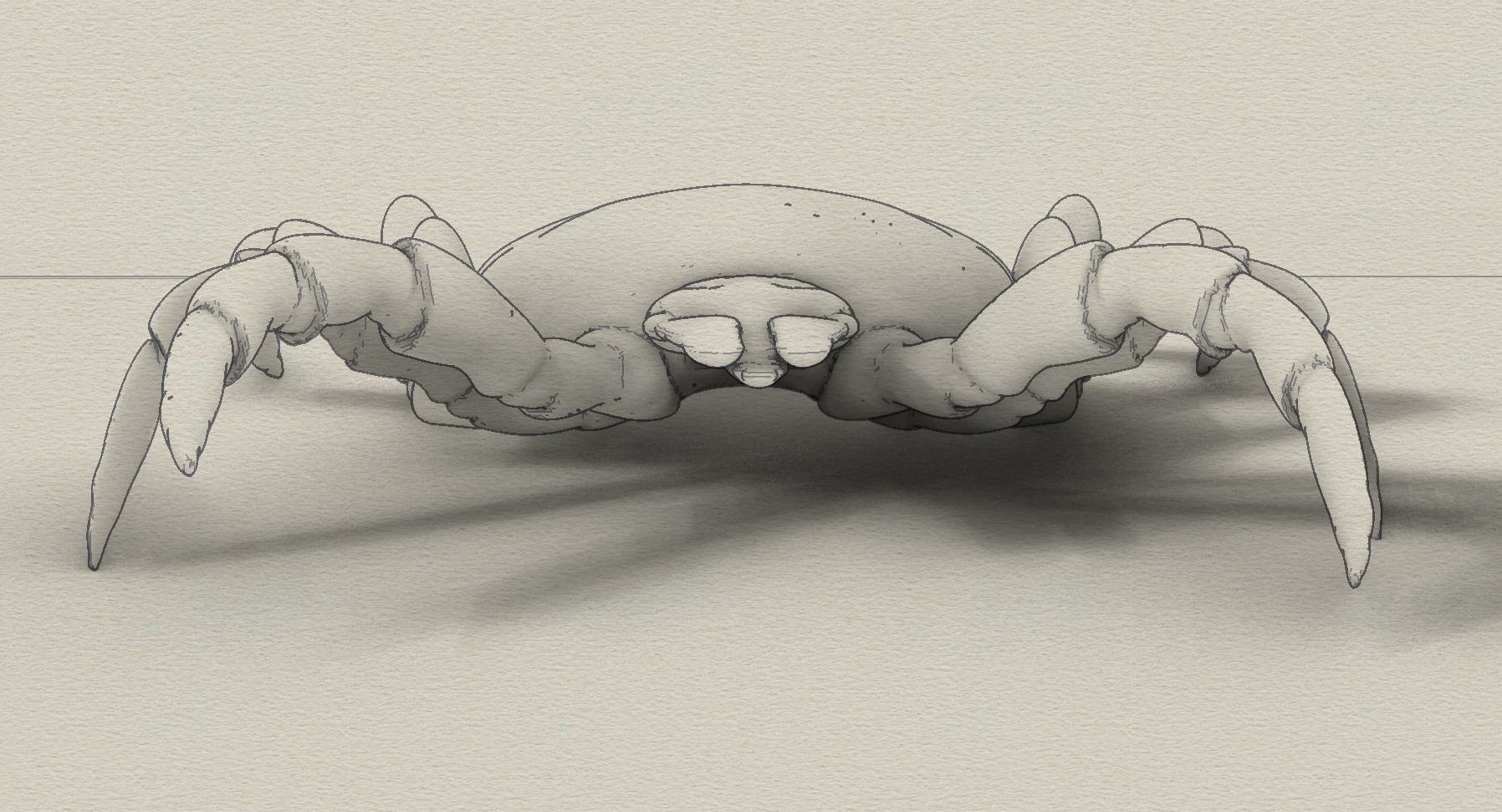 Adult empty Tick 3D print model_2