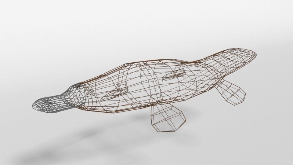 Low Poly Cartoon Platypus Low-poly 3D model_9