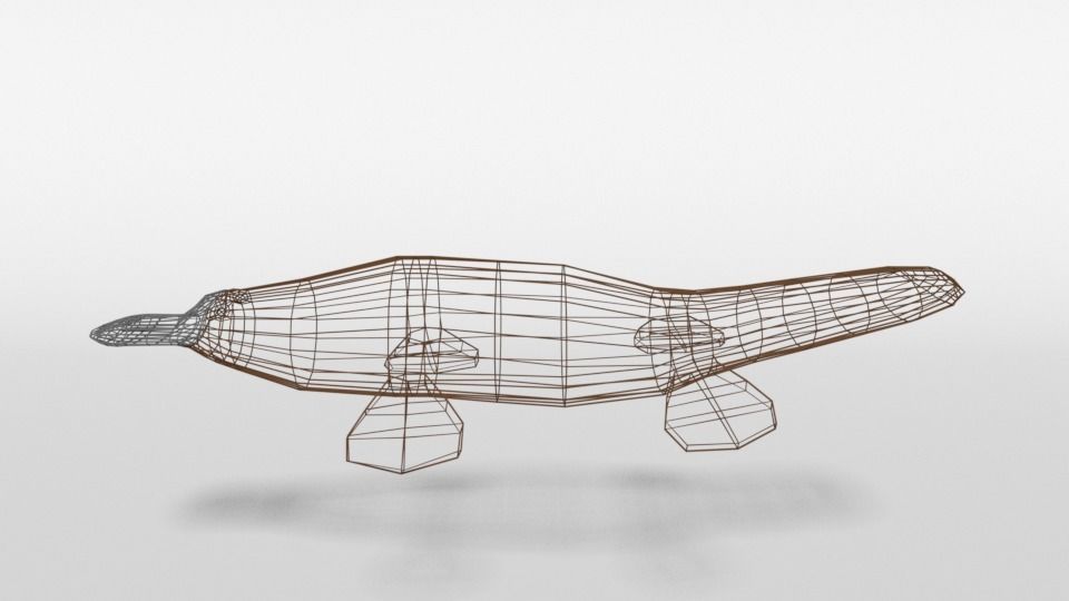 Low Poly Cartoon Platypus Low-poly 3D model_10