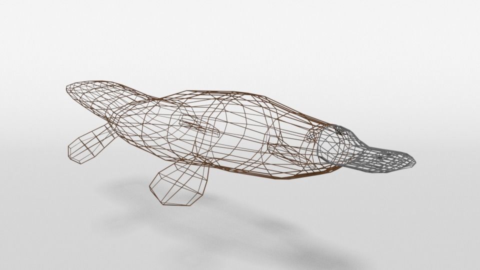 Low Poly Cartoon Platypus Low-poly 3D model_15