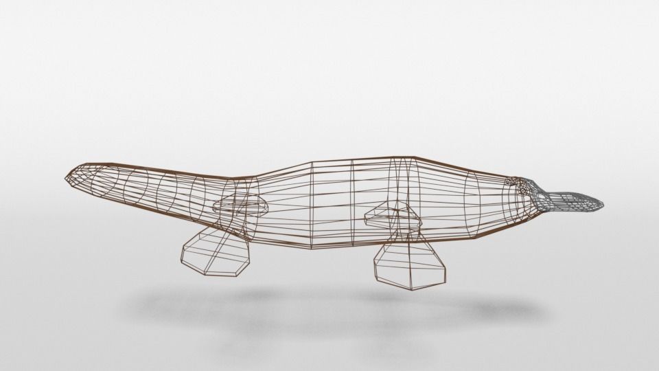 Low Poly Cartoon Platypus Low-poly 3D model_14