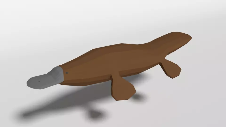 Low Poly Cartoon Platypus Low-poly 3D model_0