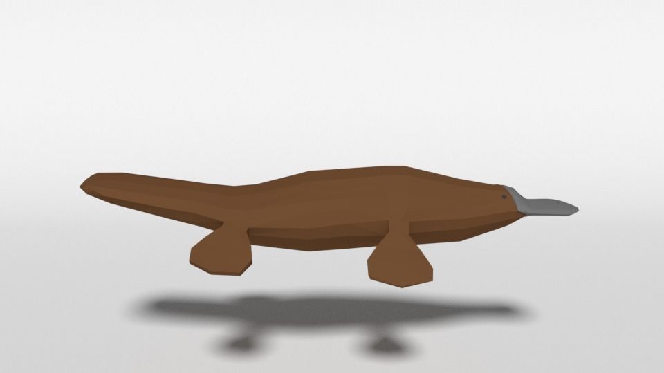 Low Poly Cartoon Platypus Low-poly 3D model_5