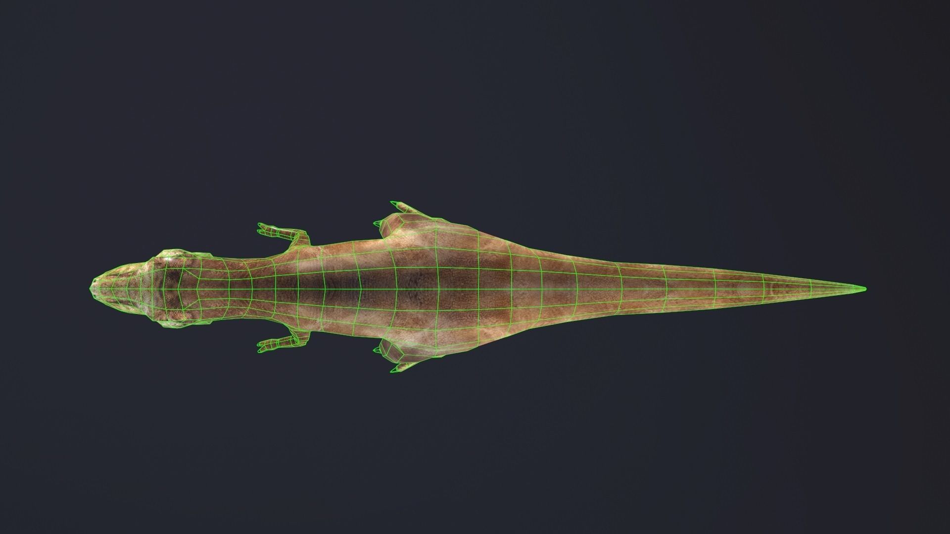 T-rex dog Low-poly 3D model_8