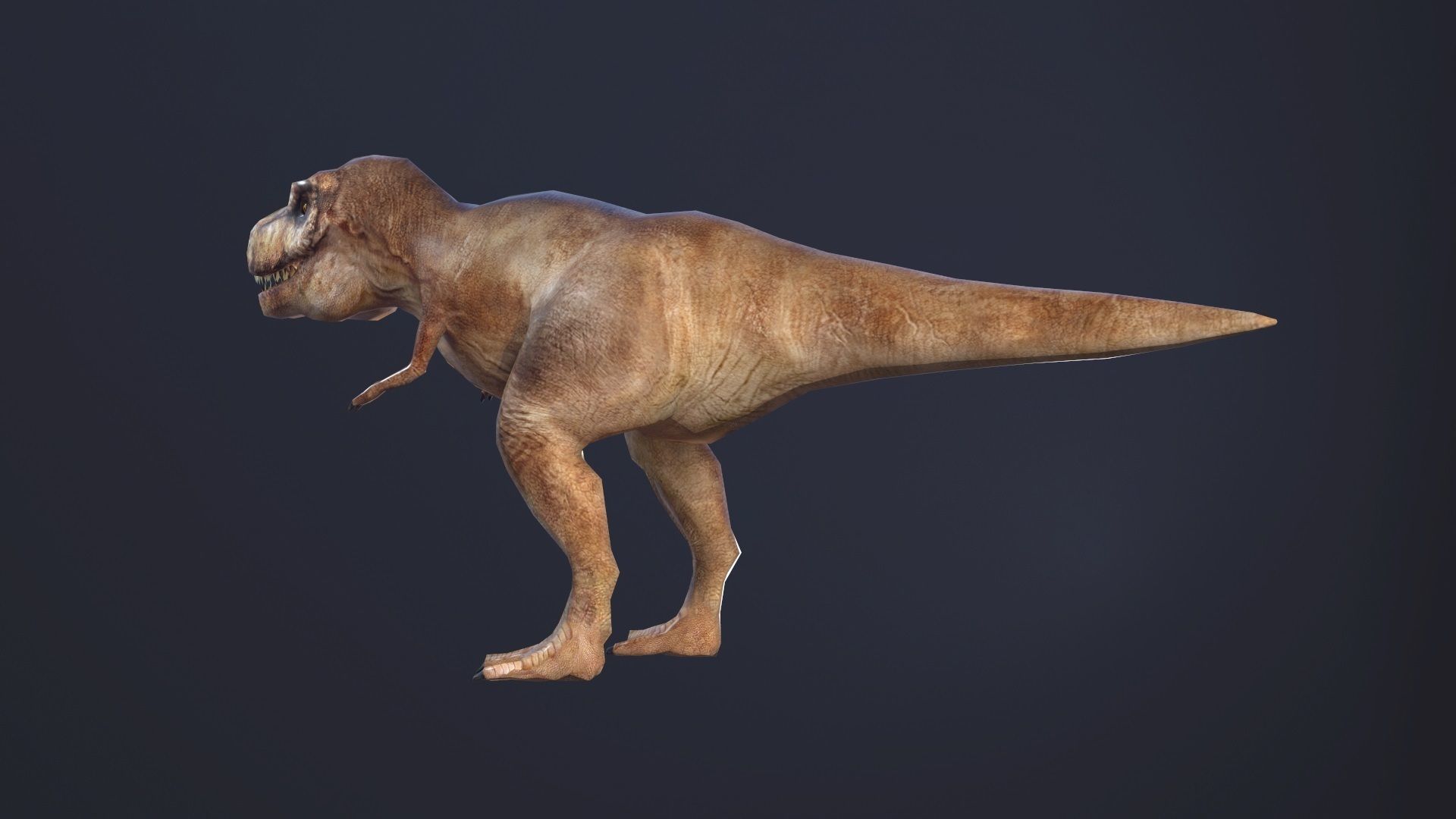 T-rex dog Low-poly 3D model_7