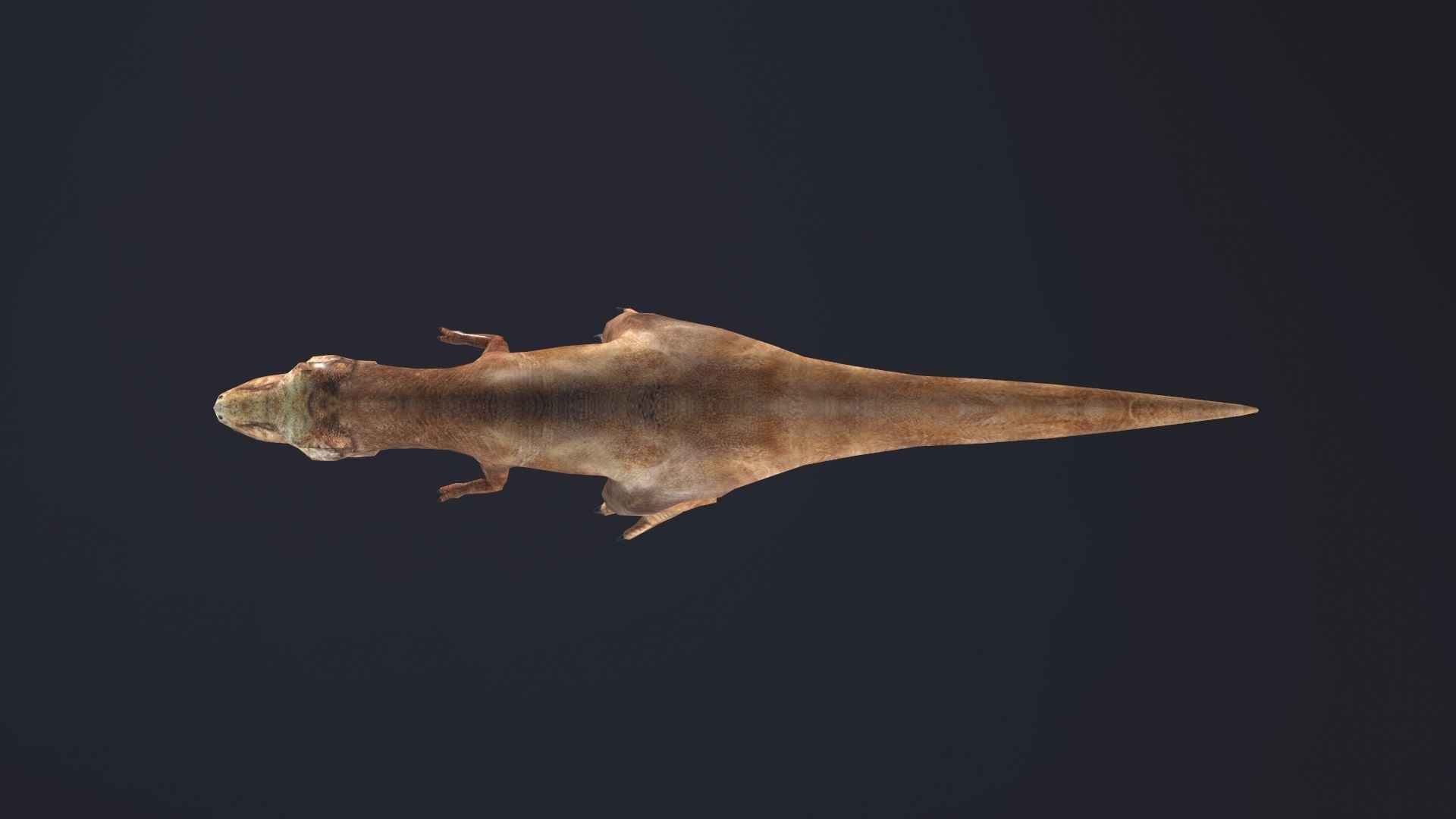 T-rex dog Low-poly 3D model_5