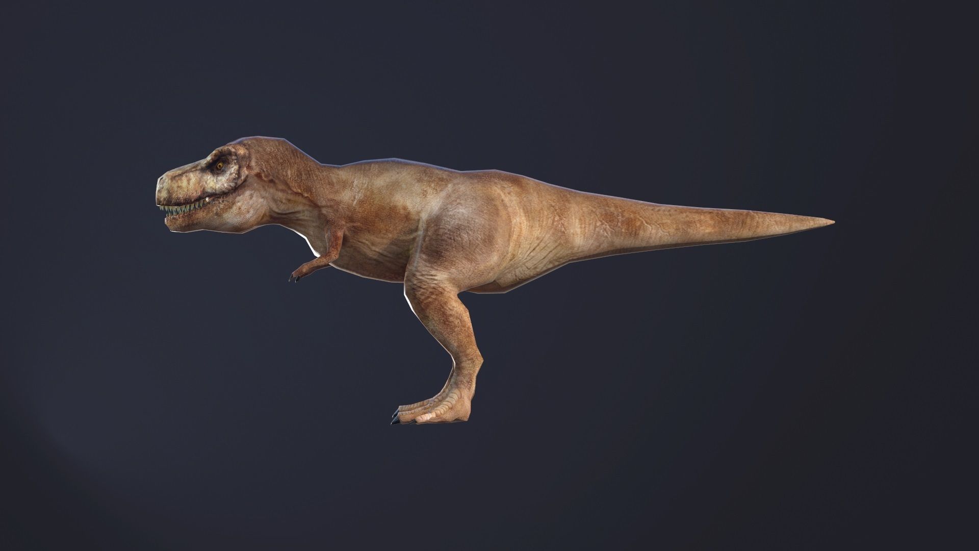 T-rex dog Low-poly 3D model_6