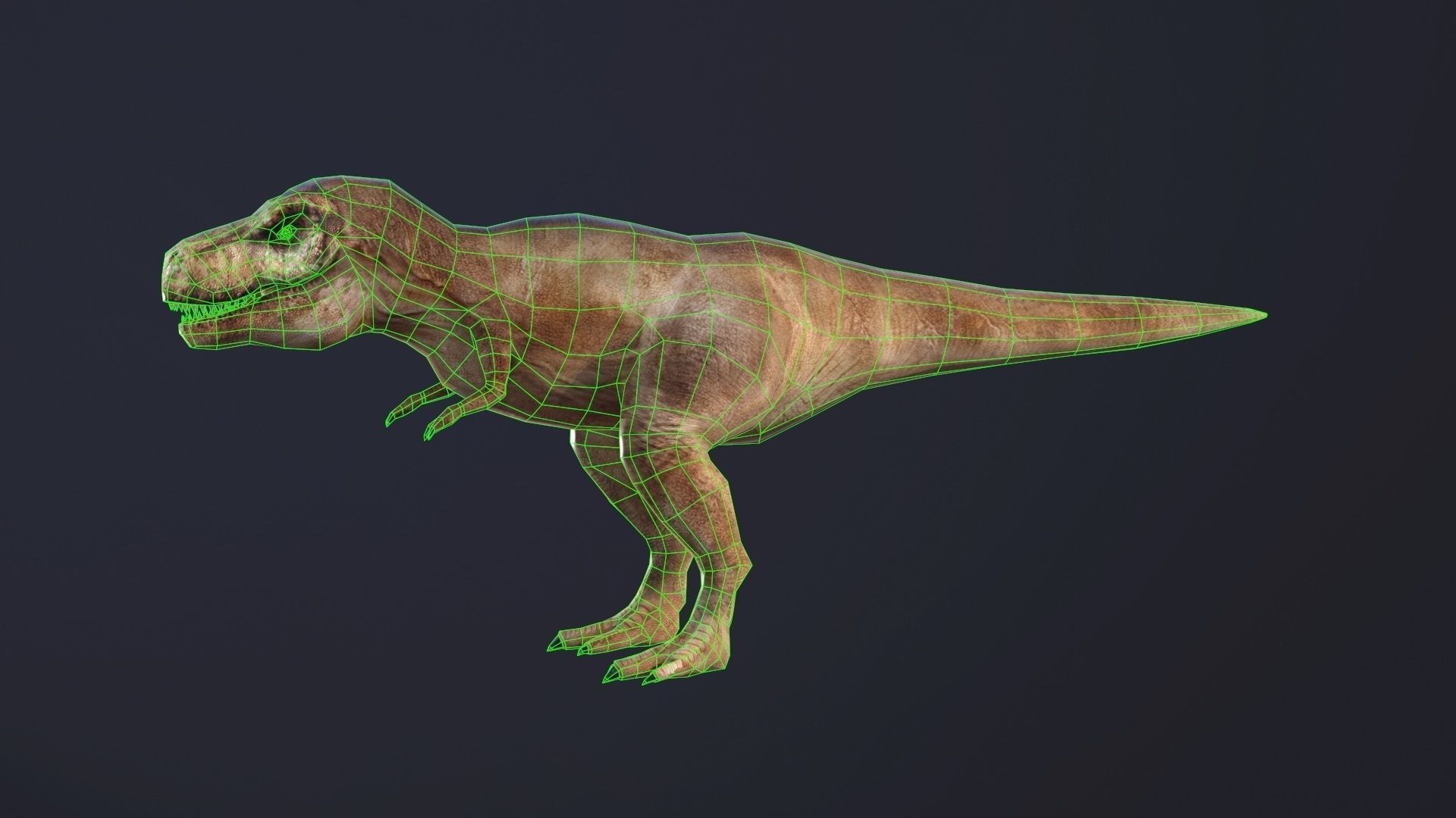 T-rex dog Low-poly 3D model_3
