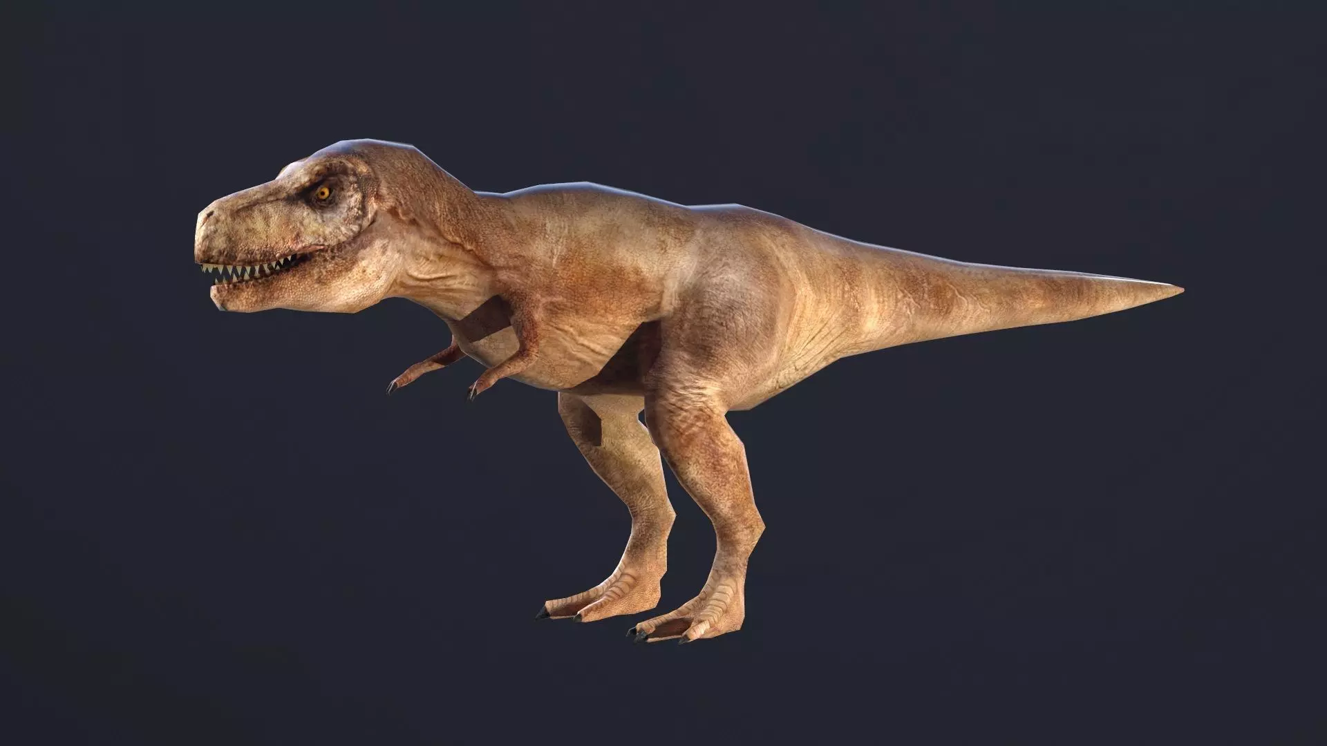 T-rex dog Low-poly 3D model_0
