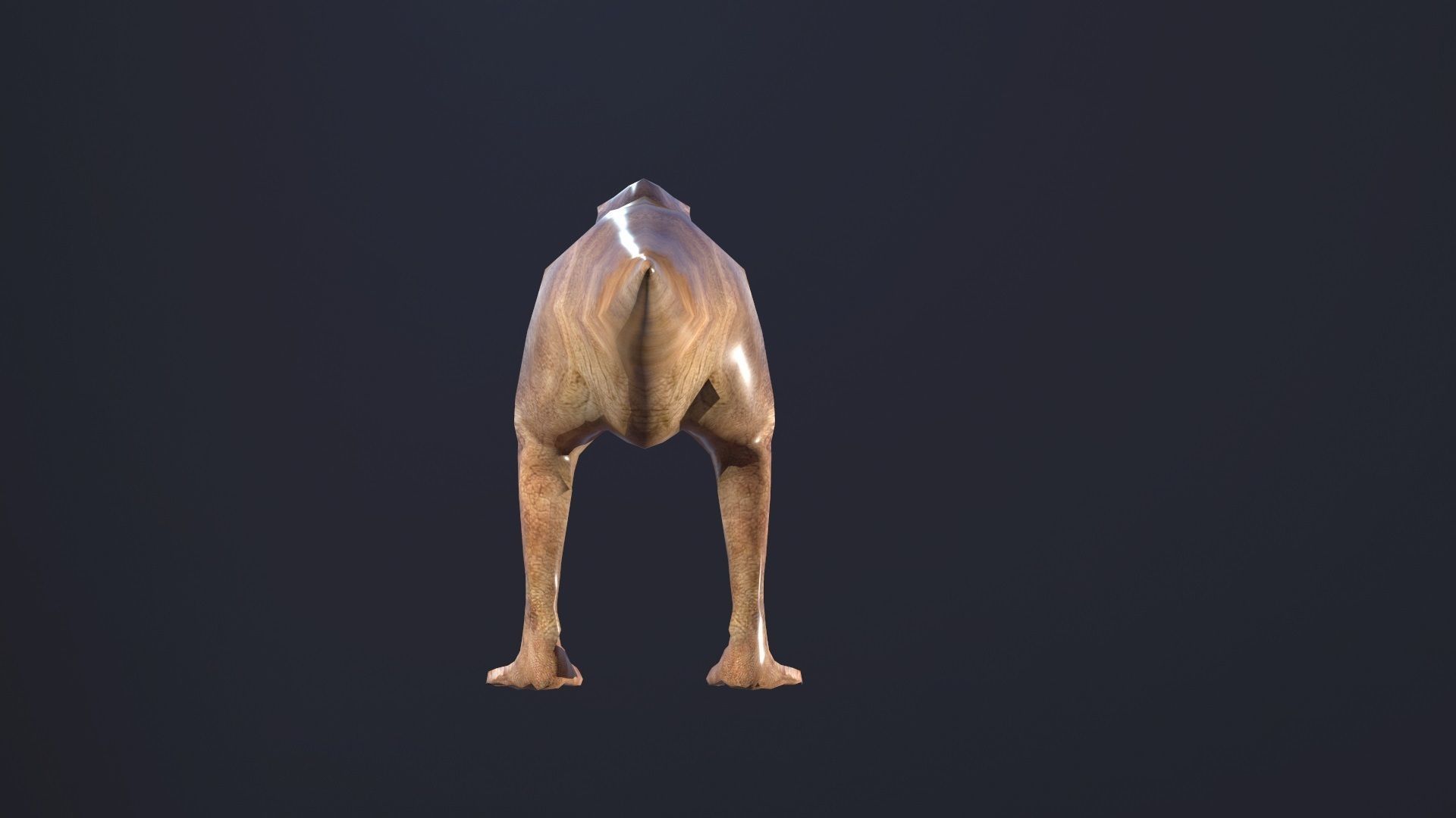T-rex dog Low-poly 3D model_4