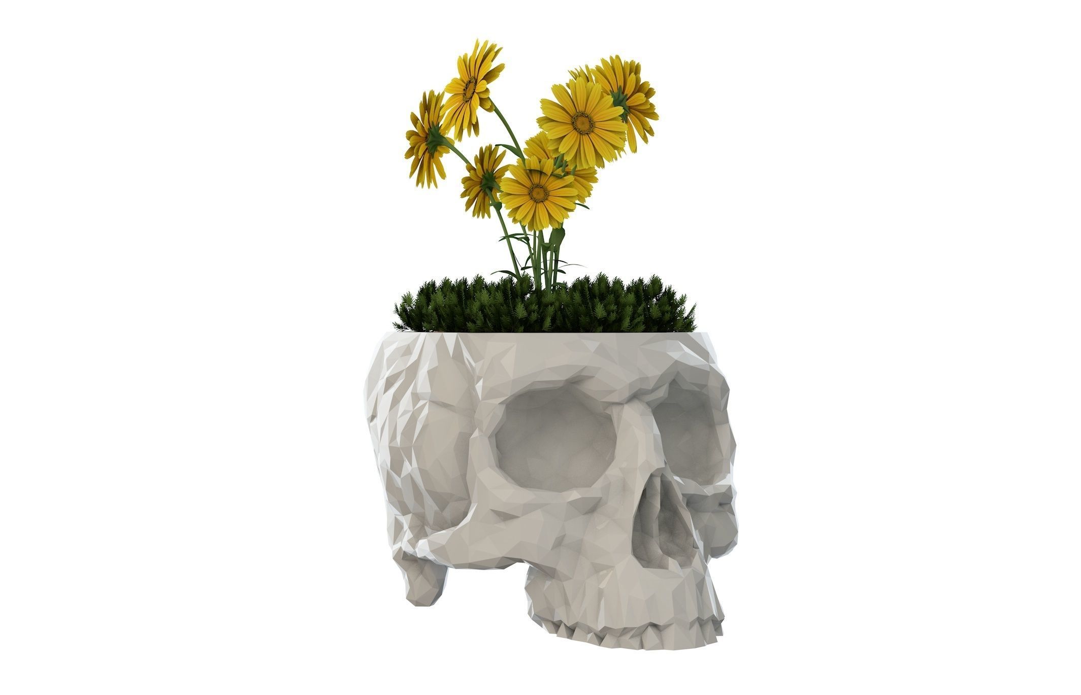 Skull Vase  3D print model_7