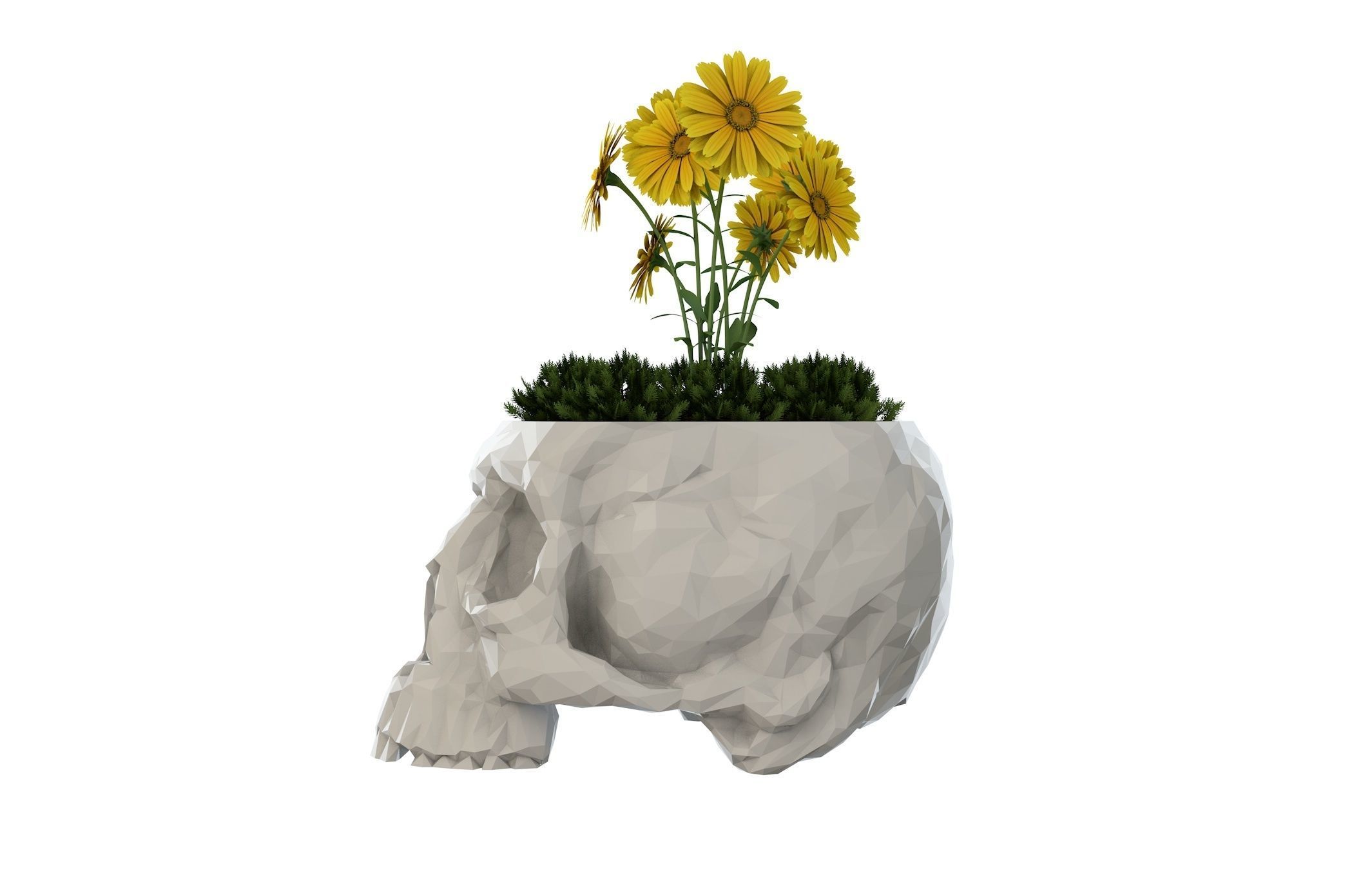 Skull Vase  3D print model_2