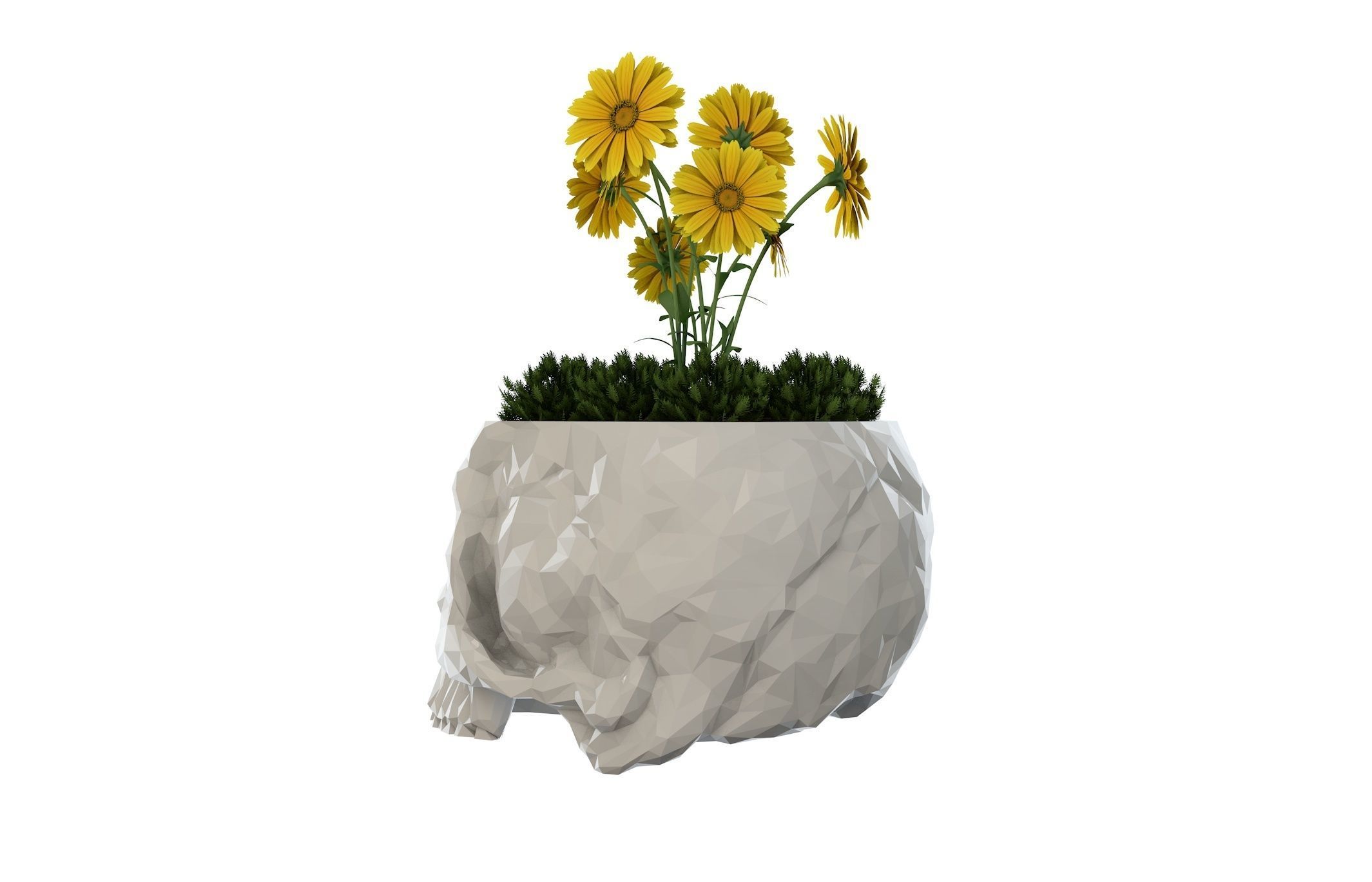 Skull Vase  3D print model_3