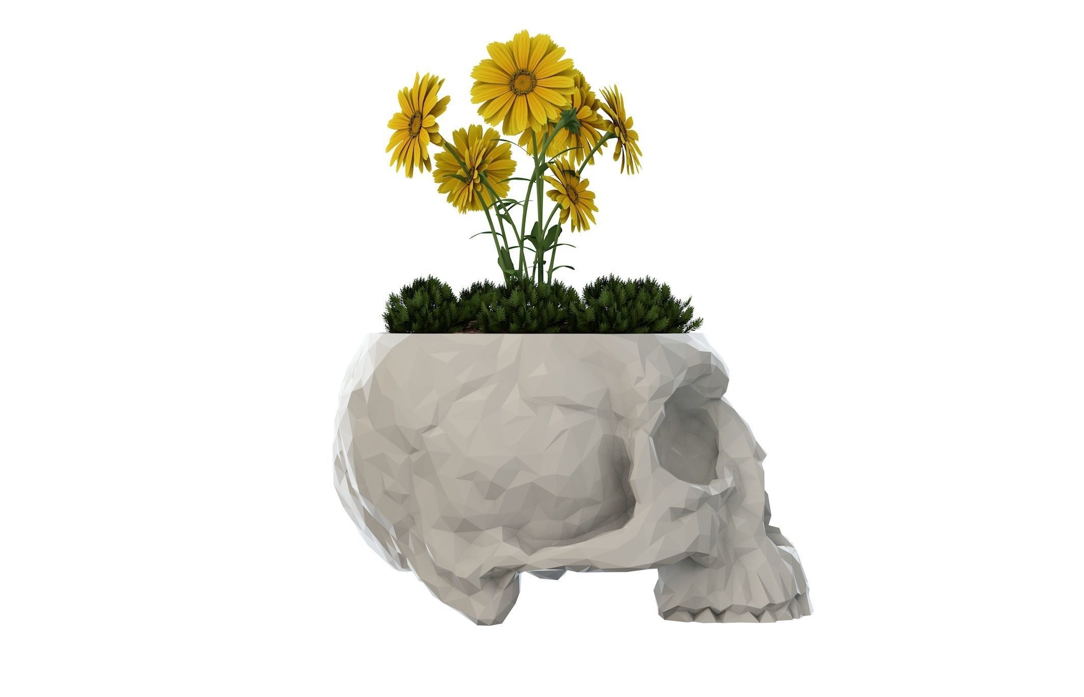 Skull Vase  3D print model_6