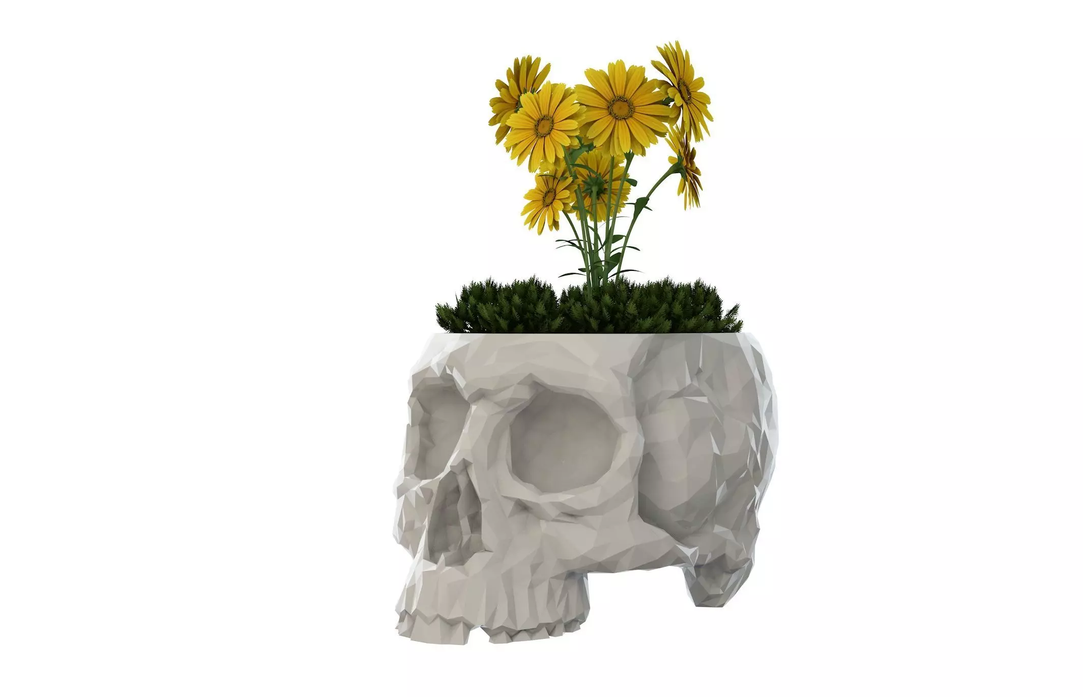 Skull Vase  3D print model_0