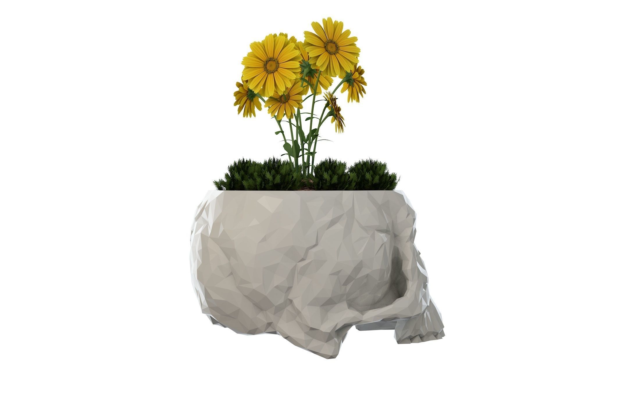 Skull Vase  3D print model_5