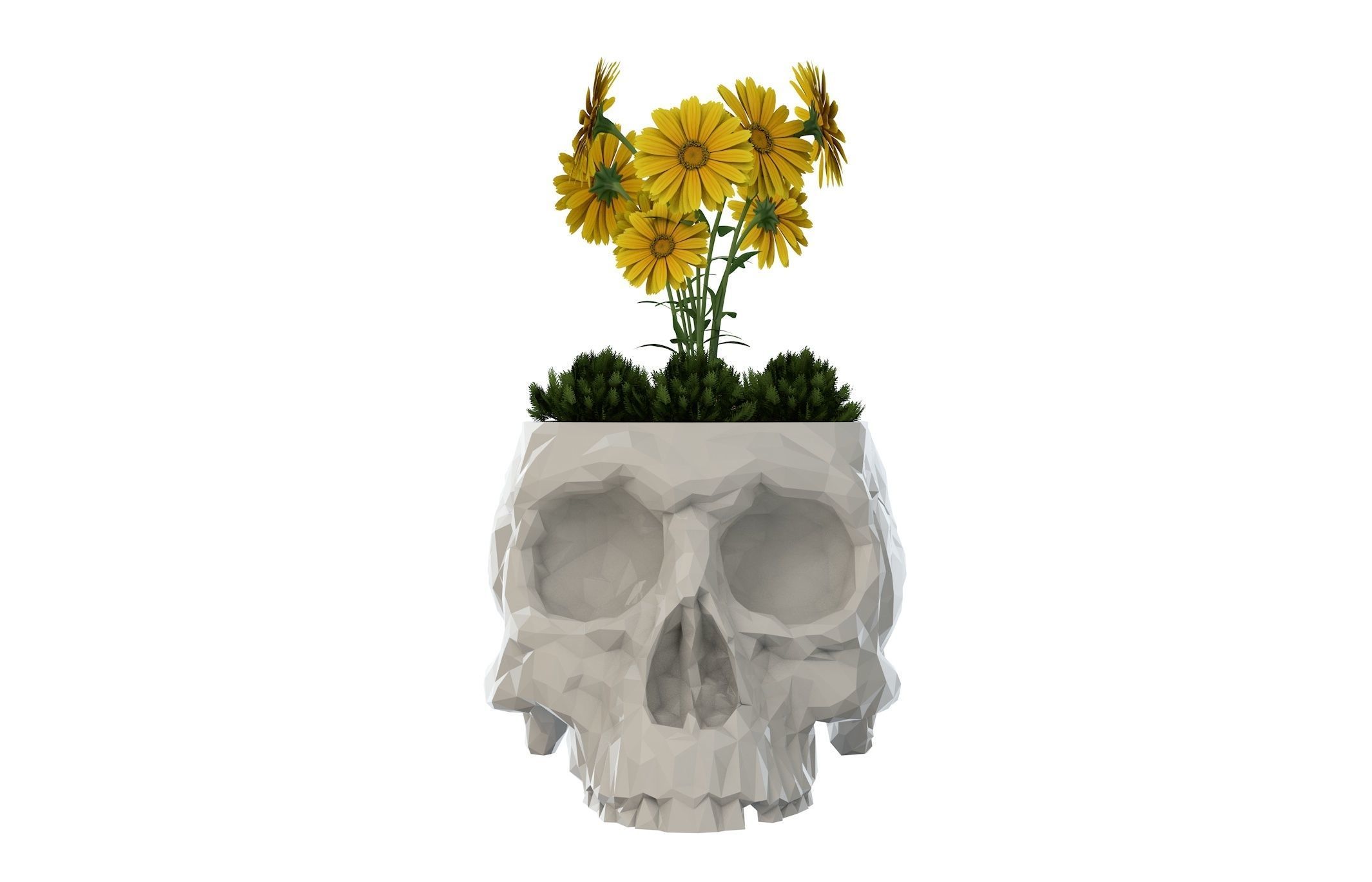 Skull Vase  3D print model_8