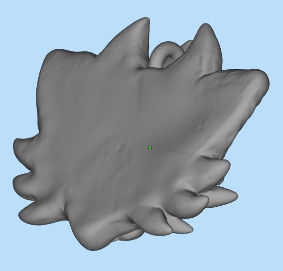 Fantastic cat head 3D print model_4