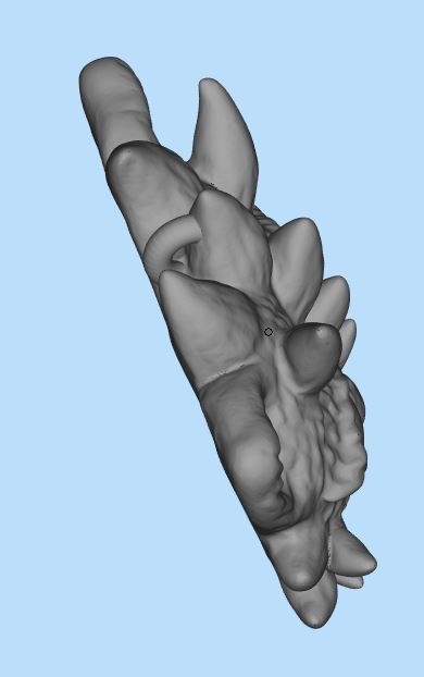 Fantastic cat head 3D print model_5