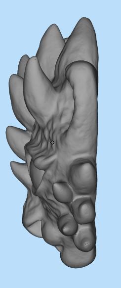 Fantastic cat head 3D print model_9