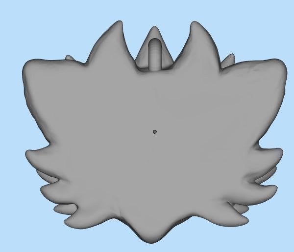 Fantastic cat head 3D print model_6