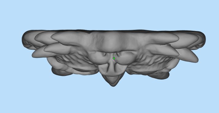 Fantastic cat head 3D print model_2