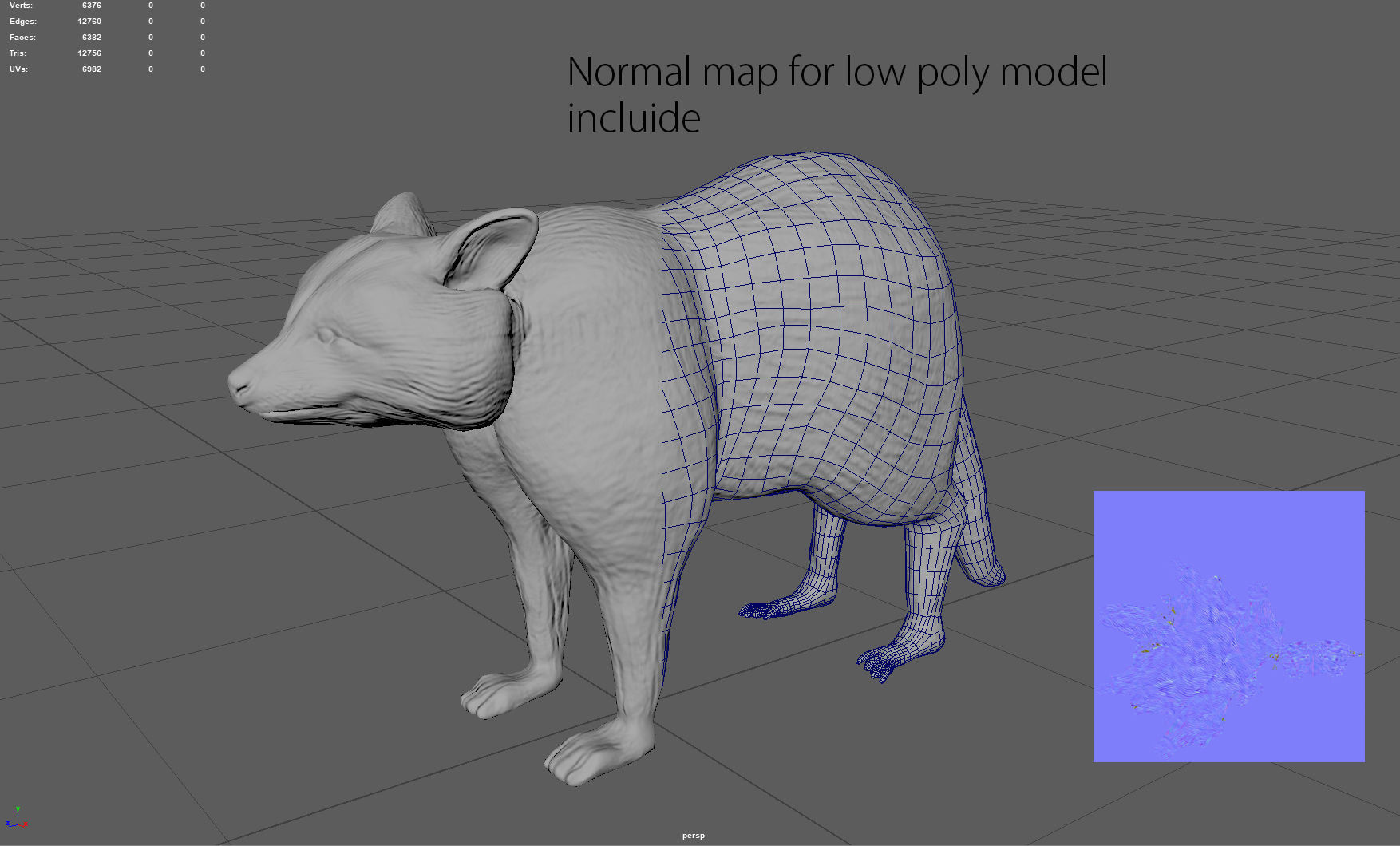 RACCOON Low-poly 3D model_10