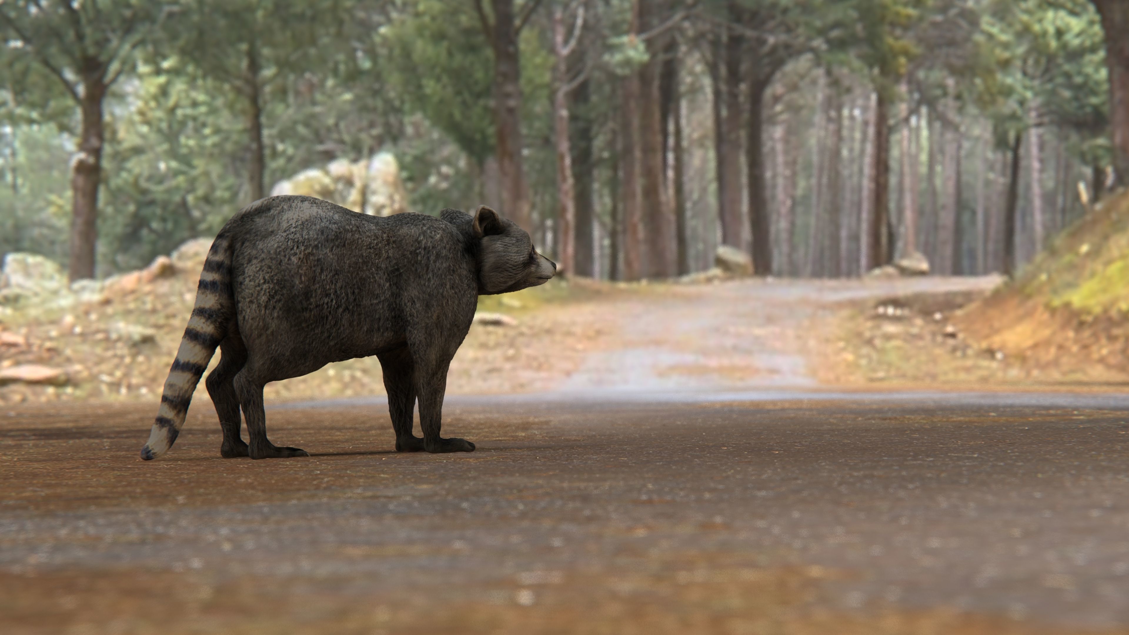 RACCOON Low-poly 3D model_3