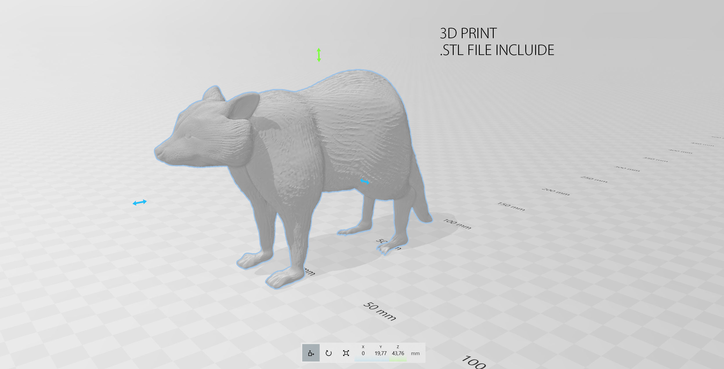 RACCOON Low-poly 3D model_11
