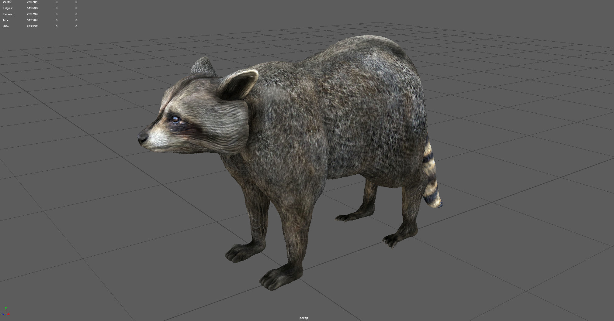 RACCOON Low-poly 3D model_4