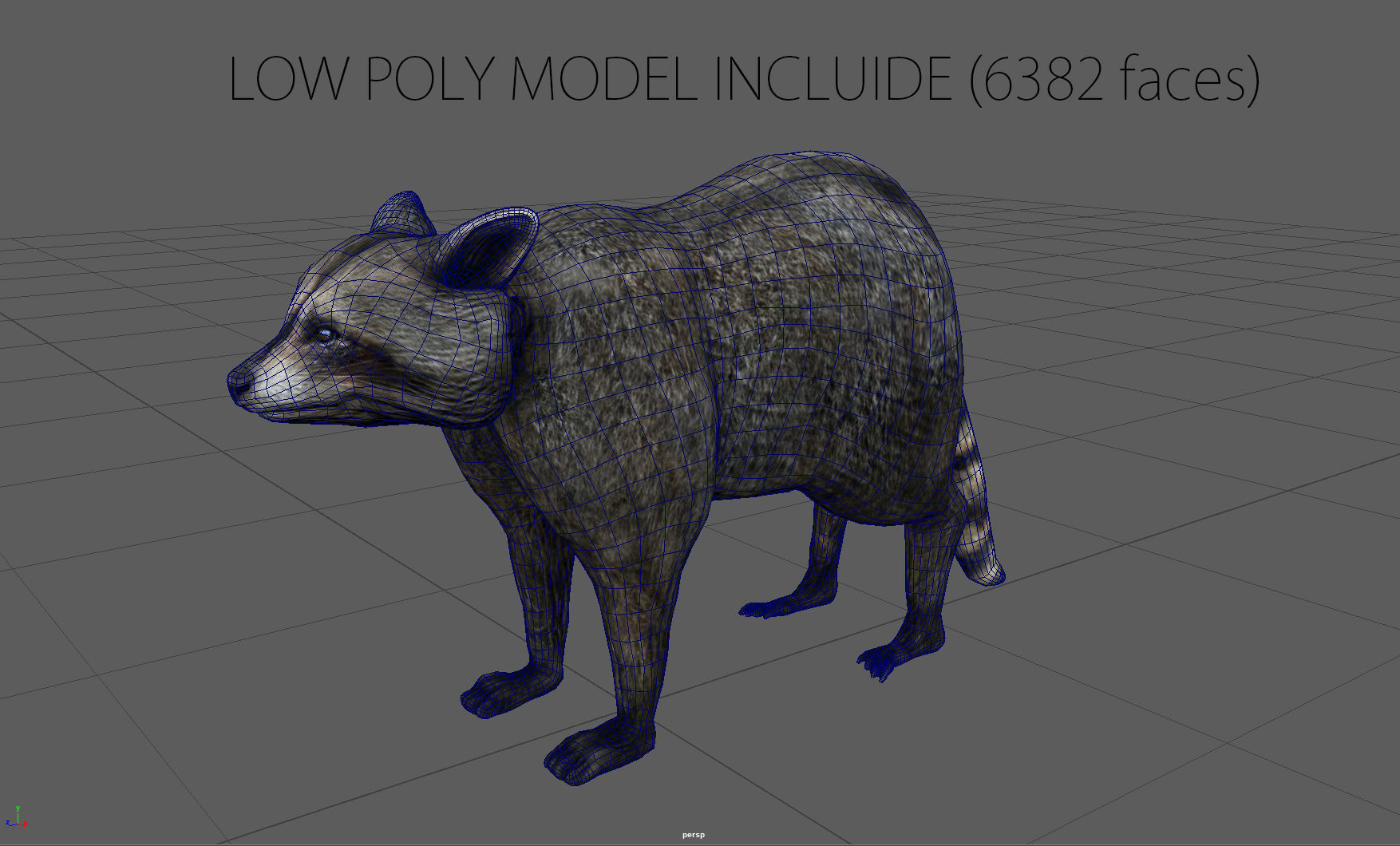 RACCOON Low-poly 3D model_9
